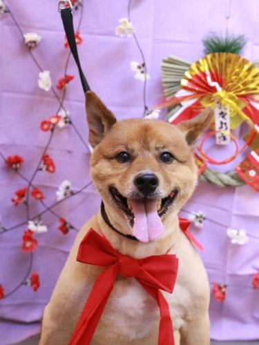 20230109やまとくん